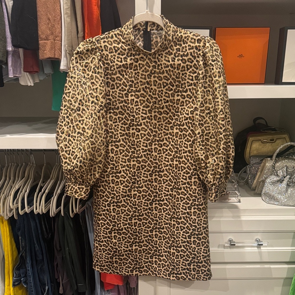 Zara Leopard Print Long Sleeve Dress
